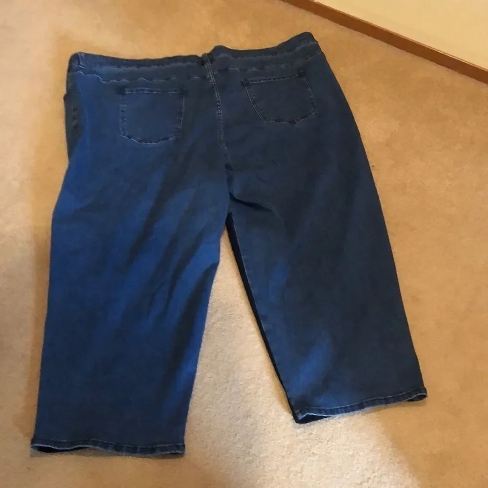 Nwot Universal Standard Ravi/Color Block Jeans - image 3